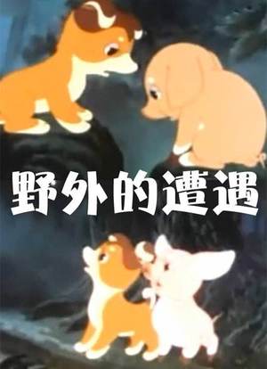 野外的遭遇海报封面图