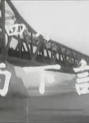 第四野战军南下记海报封面图