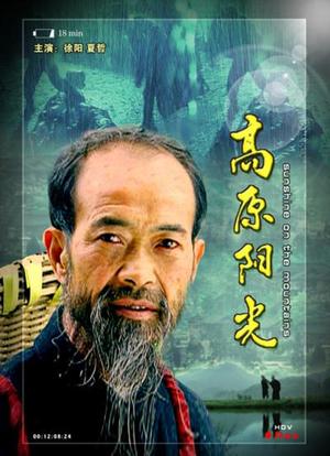 高原阳光海报封面图