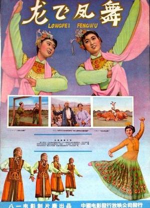 龙飞凤舞海报封面图