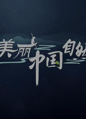 美丽中国:自然海报封面图