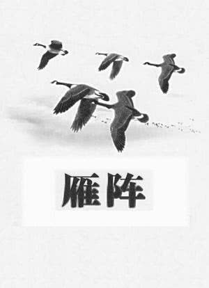 雁阵海报封面图