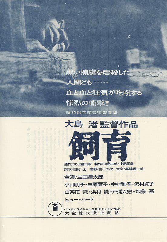 饲育
