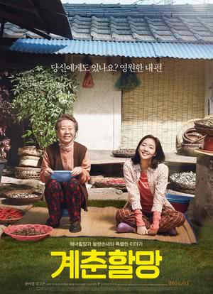 季春奶奶海报封面图