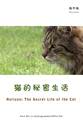 John Bradshaw BBC地平线:猫的秘密生活