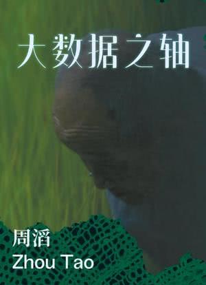 大数据之轴海报封面图