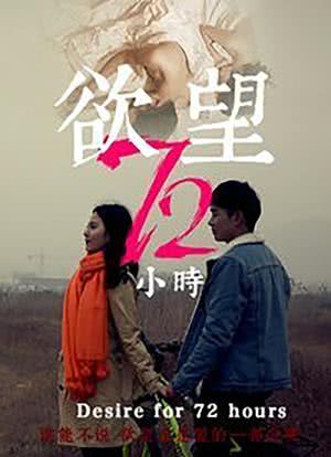 欲望72小时海报封面图