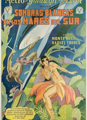 南海白影海报封面图