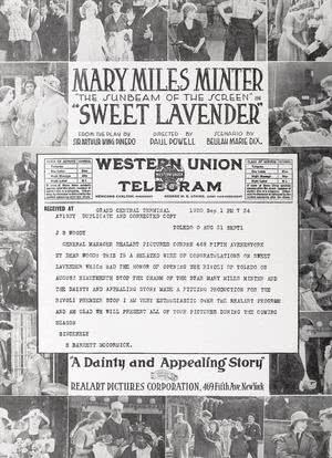 Sweet Lavender海报封面图