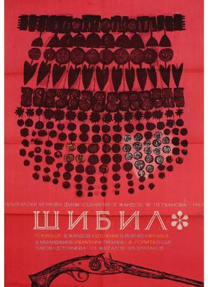 Shibil海报封面图