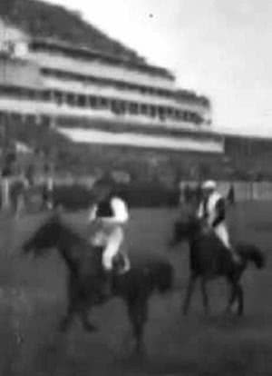 德比1895海报封面图
