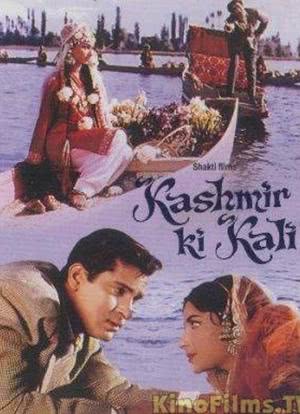 Kashmir Ki Kali海报封面图