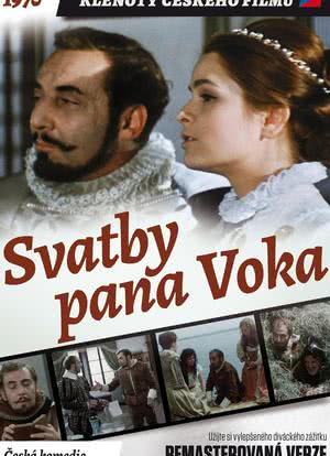 Svatby pana Voka海报封面图