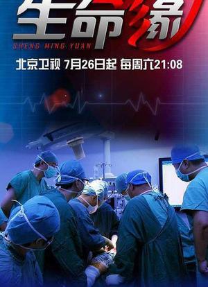 生命缘 第二季海报封面图