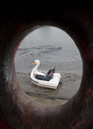 Swandown海报封面图