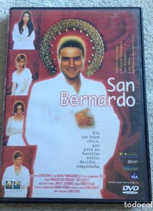 Saint Bernard海报封面图