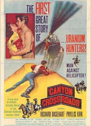 生困魔岩海报封面图