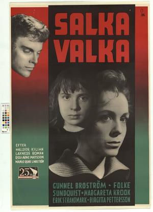 Salka Valka海报封面图