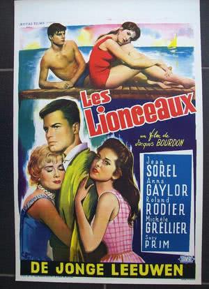 Les lionceaux海报封面图