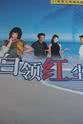 顾建中 白领红尘