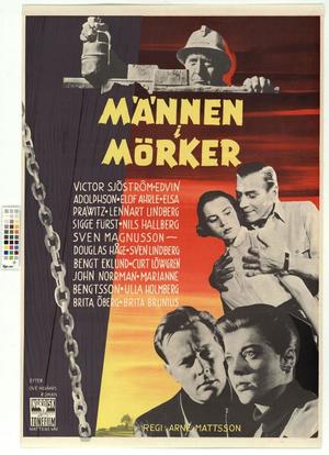 Männen i mörker海报封面图