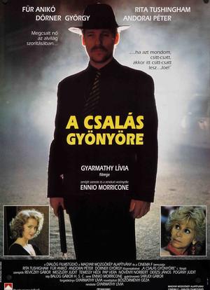 A csalás gyönyöre海报封面图
