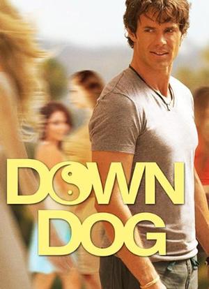 Down Dog海报封面图