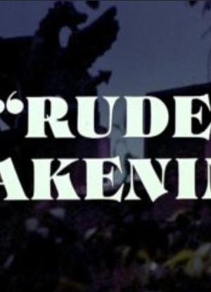 Rude Awakening海报封面图