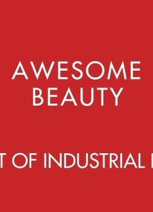 Awesome Beauty: The Art Of Industrial Britain海报封面图