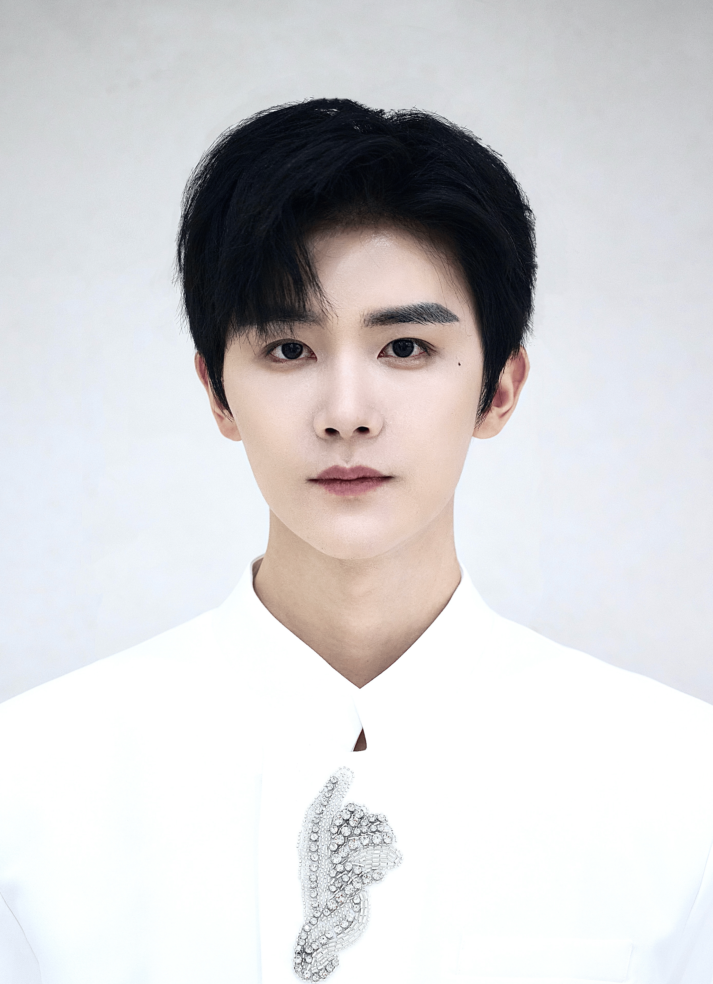 杨泽图片