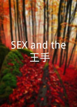 SEX and the 王手！海报封面图