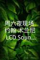 LCD Soundsystem 周六夜现场：约翰·木兰尼/LCD Soundsystem