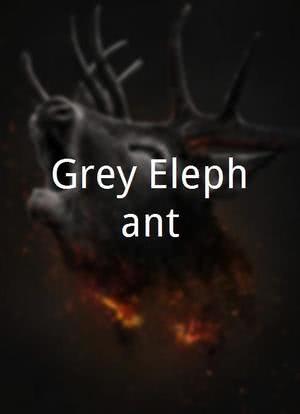 Grey Elephant海报封面图