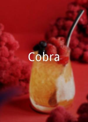 Cobra海报封面图