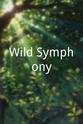 丹·布朗 Wild Symphony