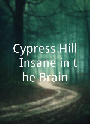 Cypress Hill: Insane in the Brain海报封面图