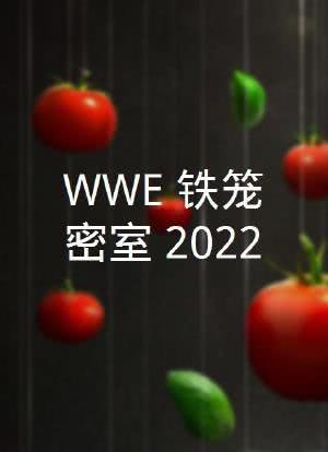 WWE：铁笼密室 2022海报封面图