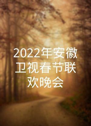 2022年安徽卫视春节联欢晚会海报封面图