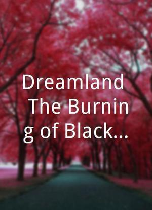 Dreamland: The Burning of Black Wall Street海报封面图