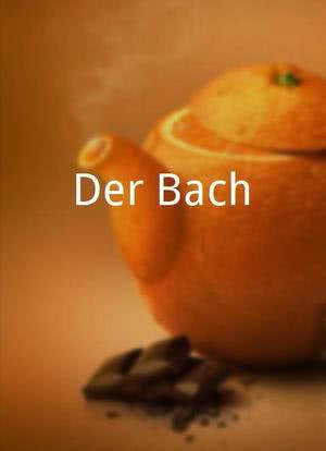 Der Bach海报封面图