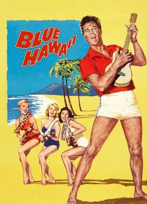 蓝色夏威夷海报封面图