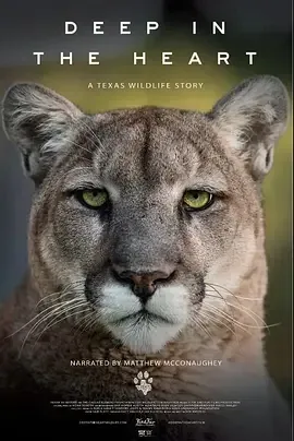 心灵深处:德州野生动物的故事海报封面图