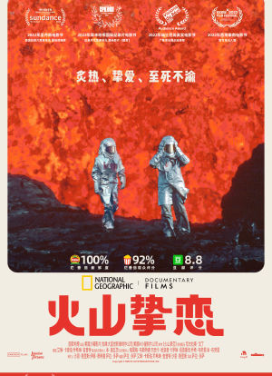 火山挚恋海报封面图
