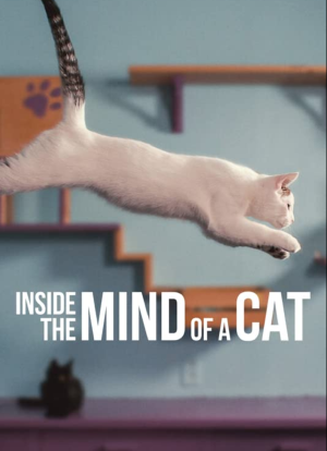 Inside the Mind of a Cat海报封面图
