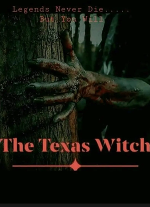 德州女巫海报封面图
