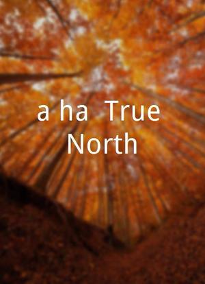 a-ha: True North海报封面图