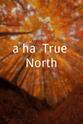 莫滕·哈克特 a-ha: True North