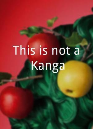 This is not a Kanga海报封面图