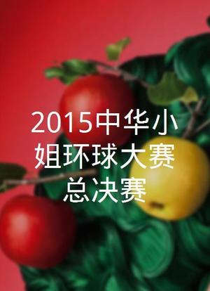 2015中华小姐环球大赛总决赛海报封面图