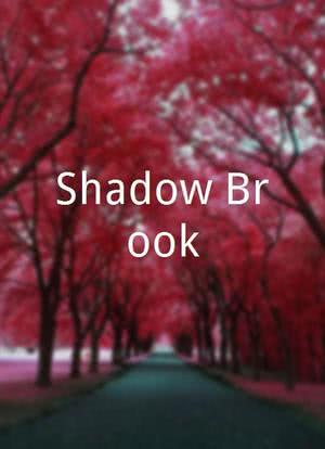 Shadow Brook海报封面图